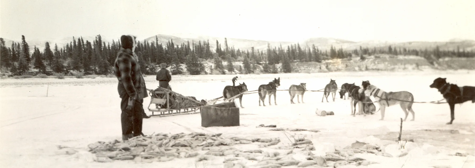 Dog sledding and ice fishing on Lhù'ààn Mân (Kluane Lake)